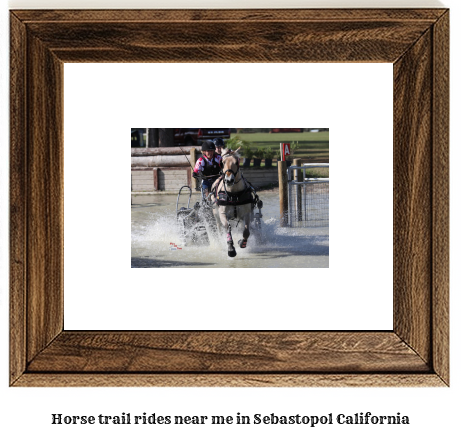 horse trail rides near me in Sebastopol, California